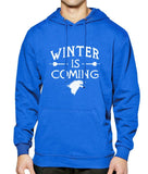 Winter Is Coming Hoodie