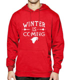 Winter Is Coming Hoodie