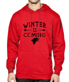 Winter Is Coming Hoodie